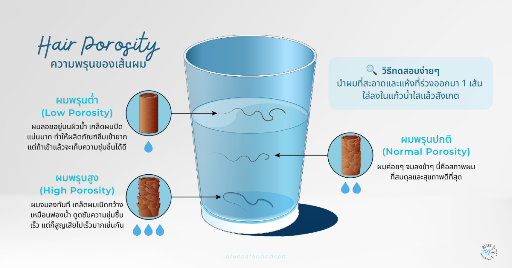 Hair Porosity ความพรุนของเส้นผม วิเคราะห์ สภาพเส้นผม