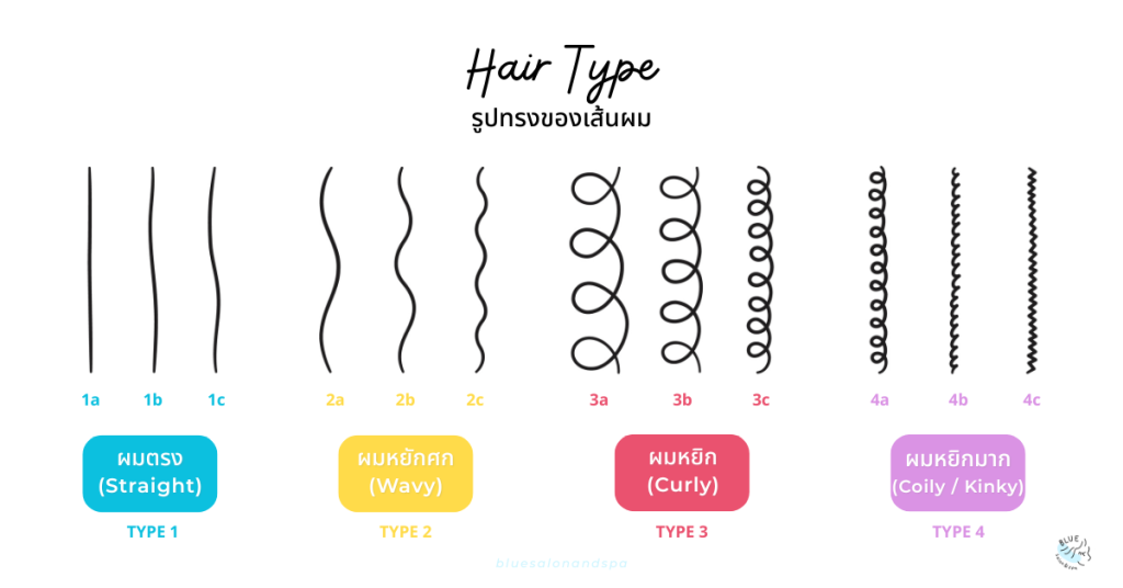 Hair Type รูปทรงของเส้นผม วิเคราะห์ สภาพเส้นผม