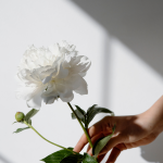 วิธีผมหอม