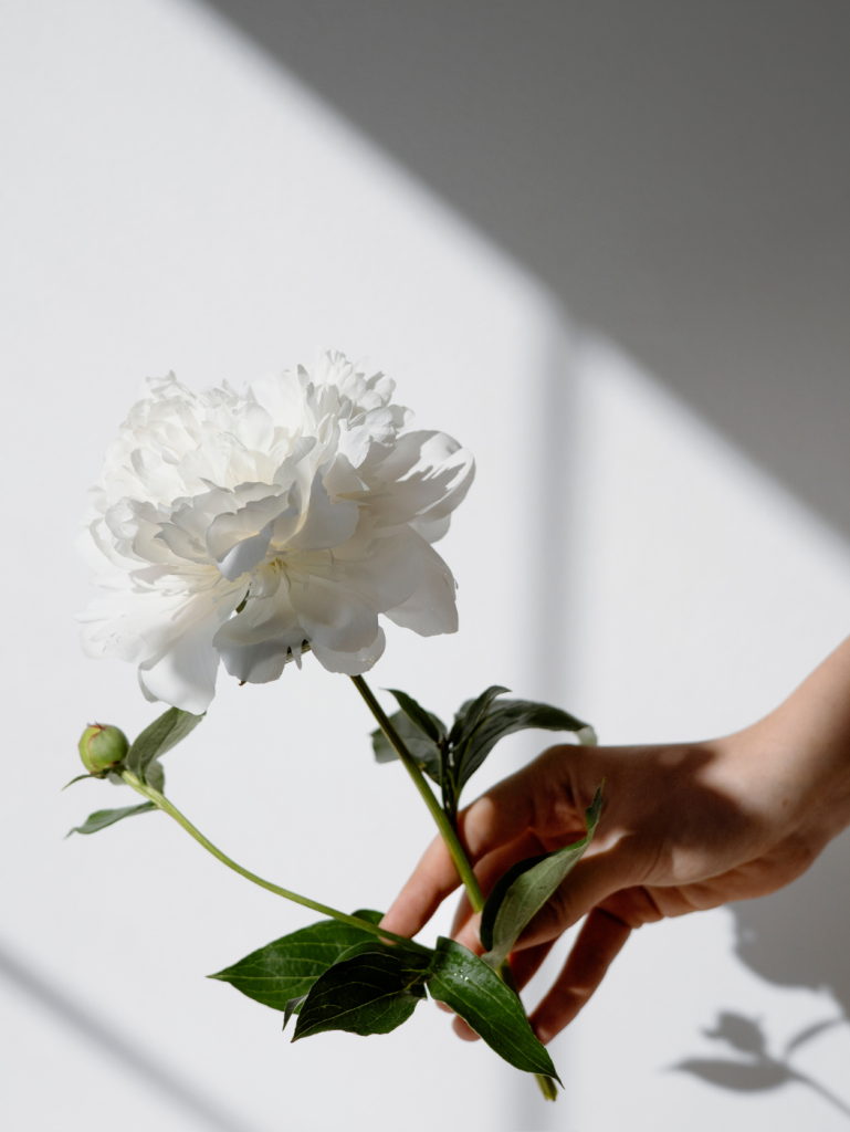 วิธีผมหอม